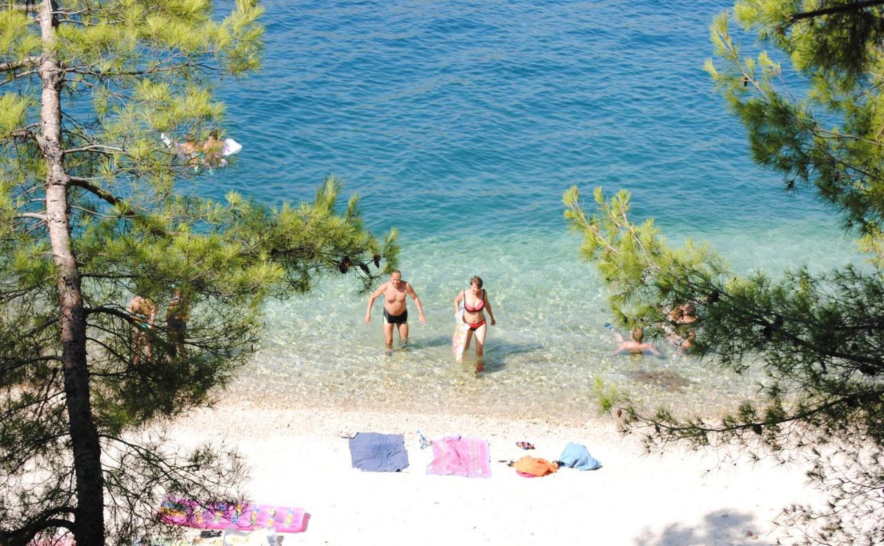 Summer Residence Near The Sea Donji Okrug  Kültér fotó
